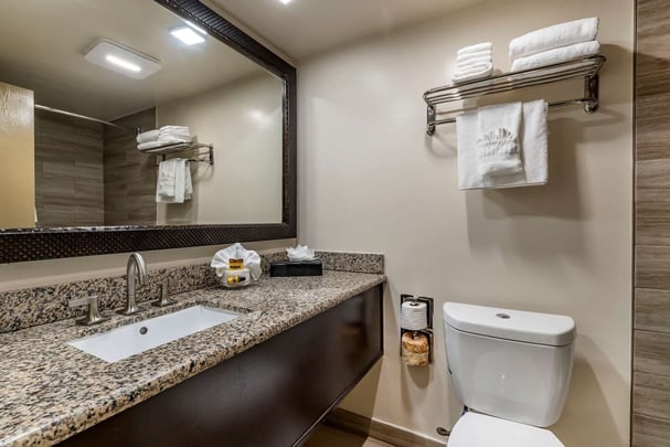 King Mini Suite Bathroom