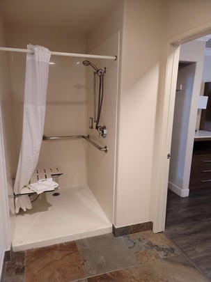 Walk In Shower ADA Queen