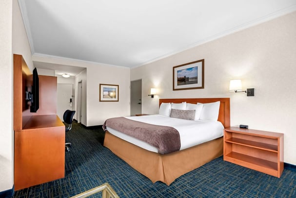 King Room Pet Friendly