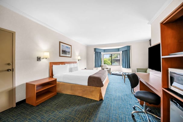 King Room Pet Friendly