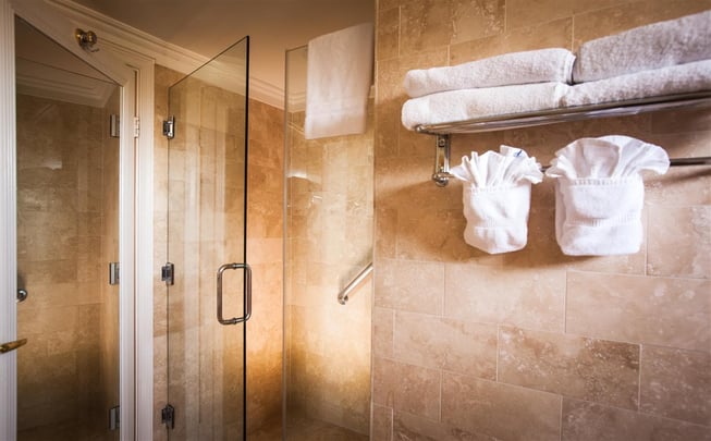 Balcony Suite Walk-In Shower