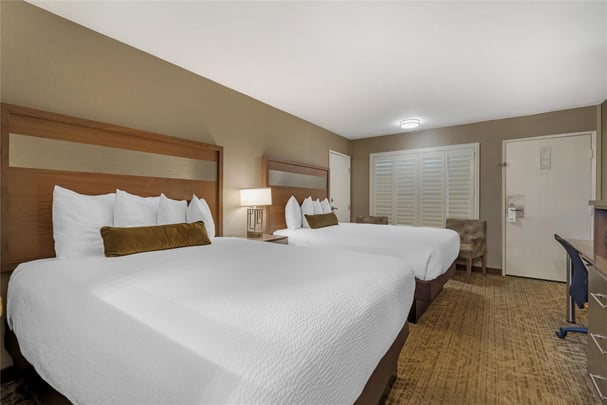 Suite - 1 King Bed 2 Queen Beds