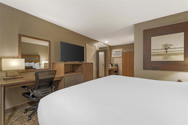 ADA - 1 King Bed w/ Roll In Shower