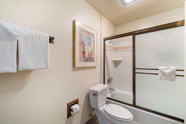 Suite Guest Bathroom