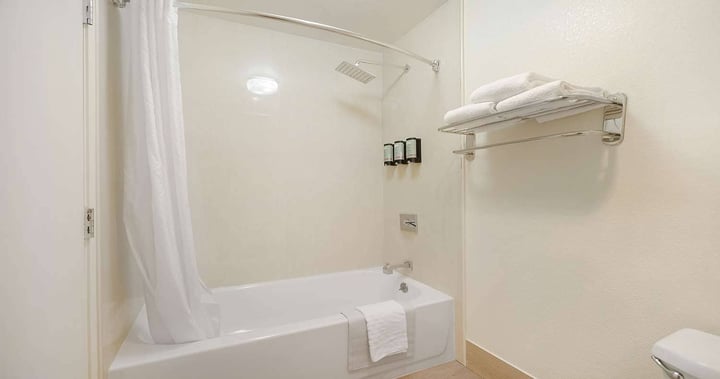 Duluxe queen fireplace