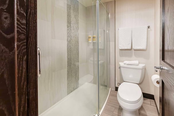 Guest Bath Junior Suite