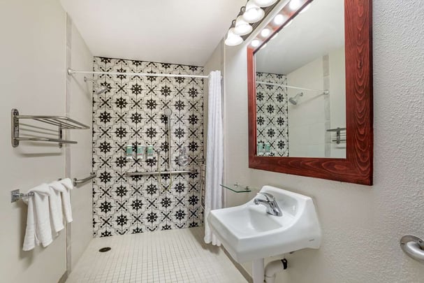 ADA Roll In Shower Bathroom