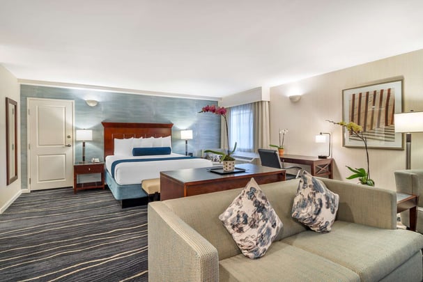 King Suite w/ Sofa Bed & Kitchen