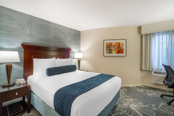 1 Queen Bed Non-Smoking