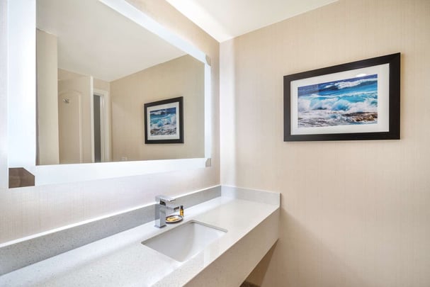 1 King Bed - Courtyard View - Guest Bath