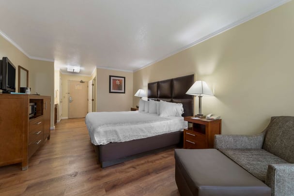 King room with sofa bed