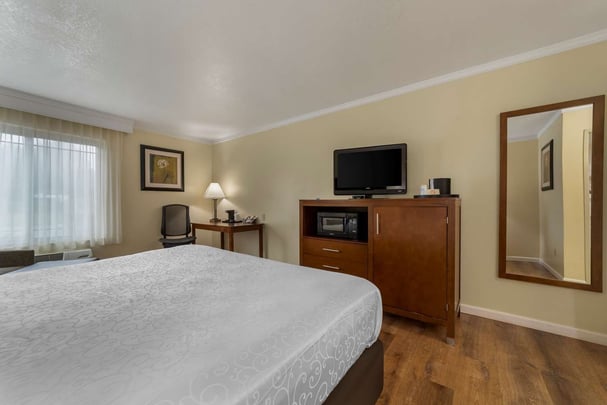 King room with sofa bed