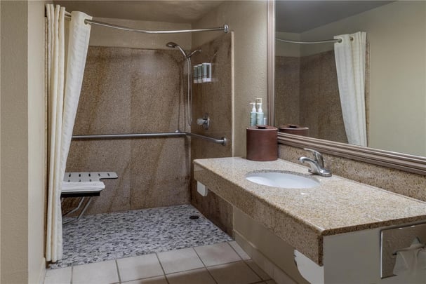ADA King Roll In Shower