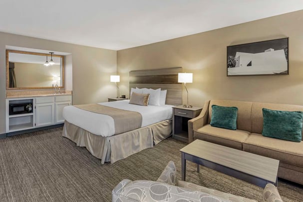 King Room - Sofabed/Wet Bar