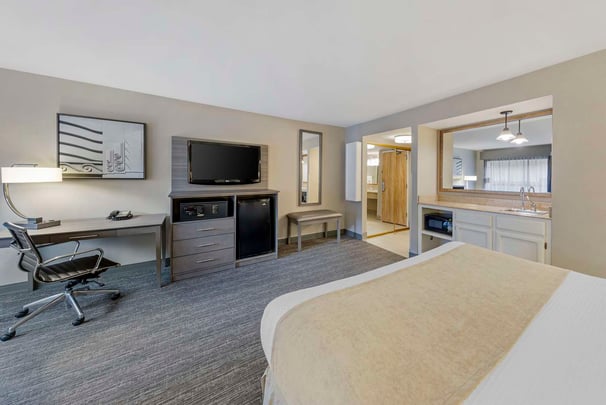 King Room - Sofabed/Wet Bar