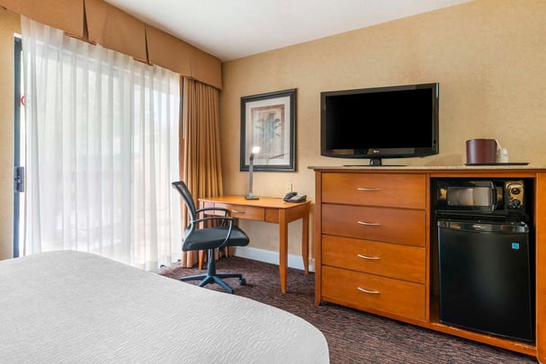 Queen executive suite