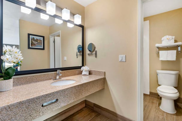 Suite Bathroom