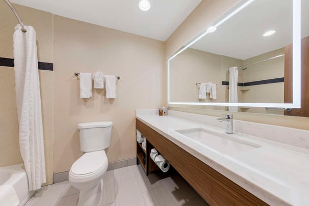 Suite Bathroom