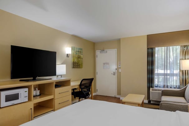 Suite King Bedroom