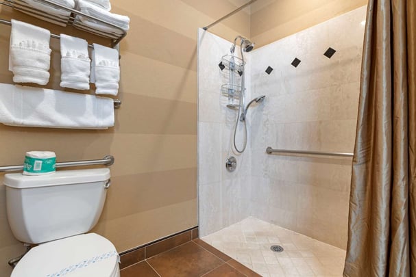 Accessible Shower