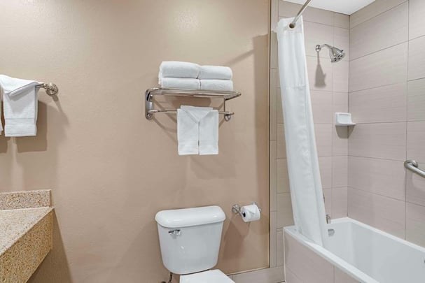 2 Queen Suite Bathroom