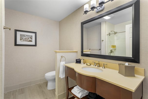 Balcony Mountain View King Bathroom