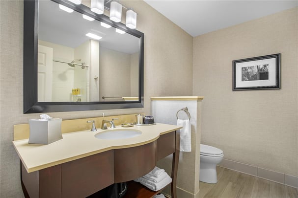 Mountain View King Suite Bathroom