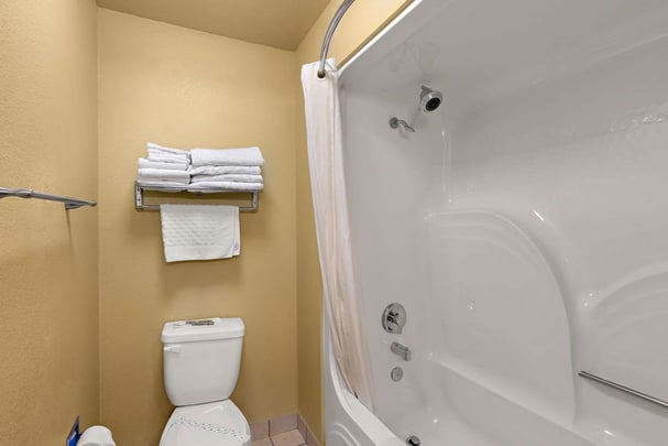 Guest bathroom