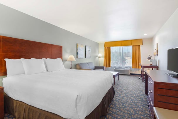 Guest Room King Sofabed