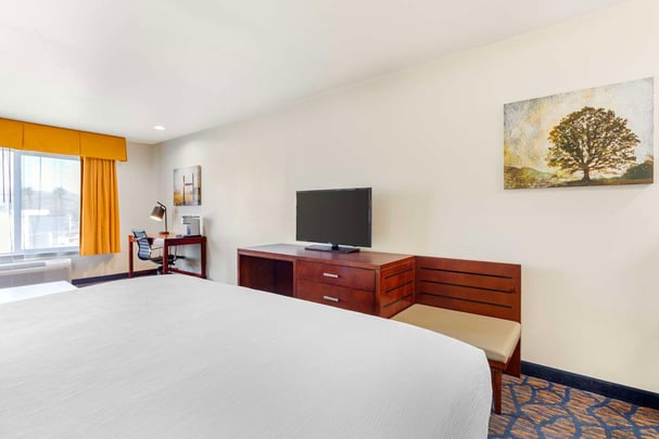 Guest Room King Sofabed