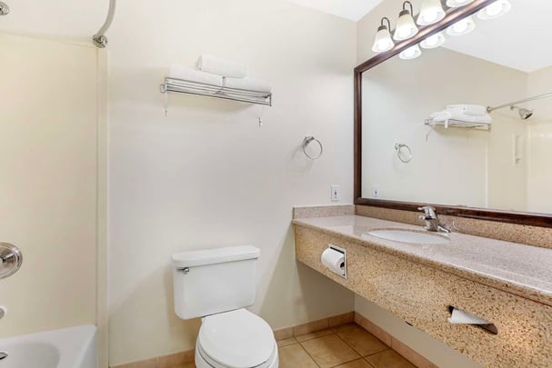 Guest Room King Sofabed