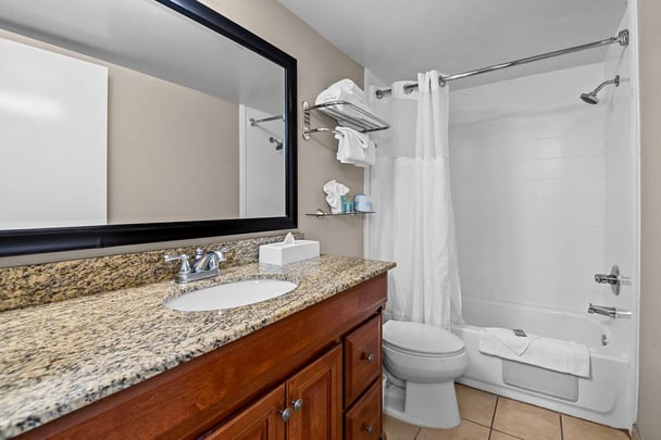 Executive Suite Bathroom