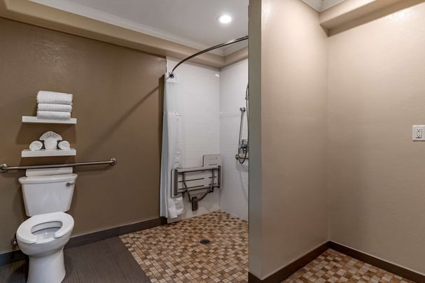 Mobility Accessible Bathroom