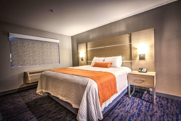 1 Bedroom, 1 Bed Suite