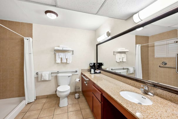 Mobility Accessible Bathroom