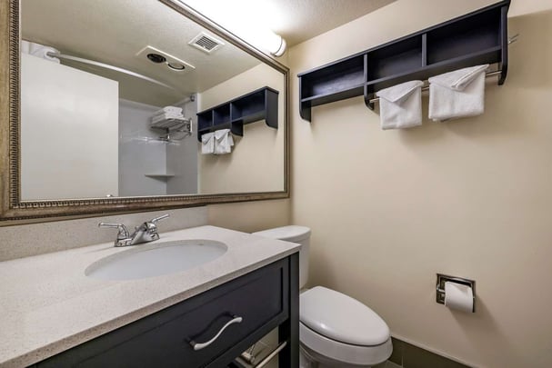 Deluxe & Executive Bathroom