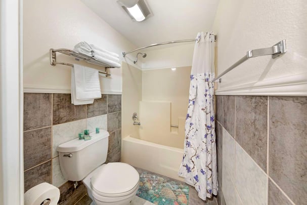 2 Queen Guest Bathroom