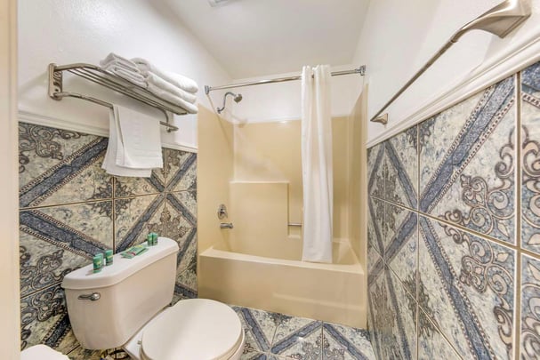 King Guest Bathroom