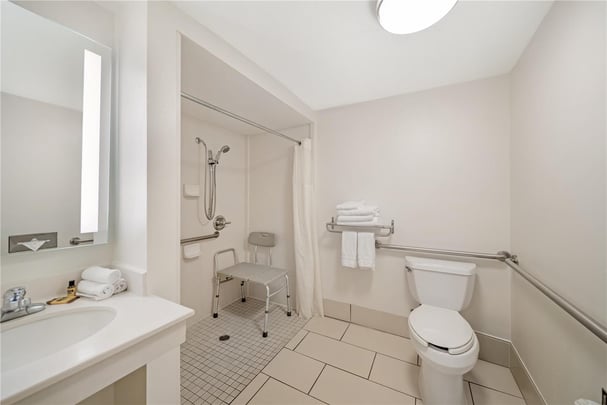 ADA King Bathroom