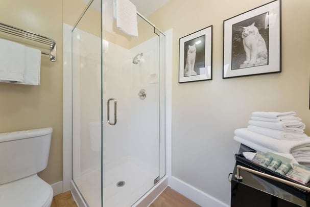 Executive King Bathroom