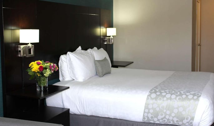 King or Queen Bed Guest Room