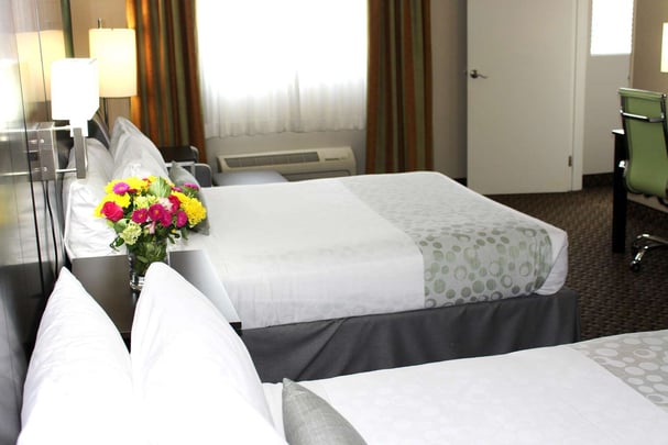 Two Queen Bed Guest Room