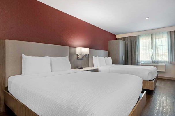 Guest Room QQ RollShwr