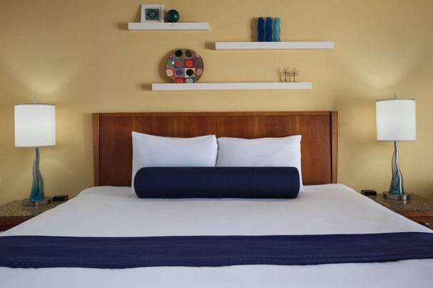 Mobility Accessible King Guestroom