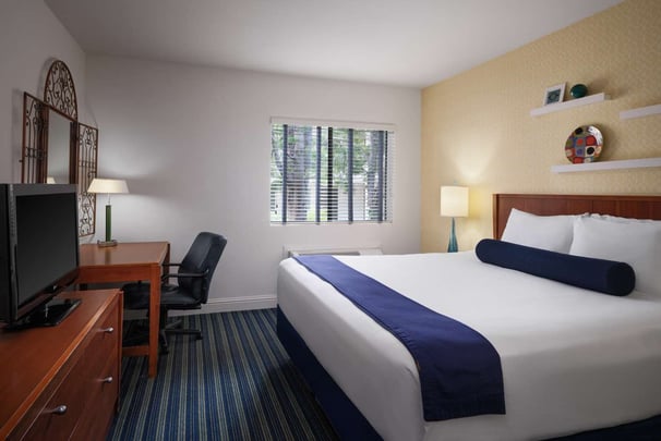 Mobility Accessible King Guestroom