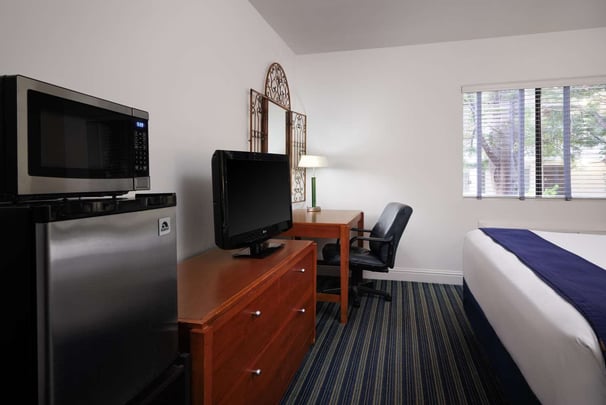 Mobility Accessible King Guestroom