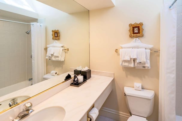 2nd Floor Single Queen Guest Room with Sofabed and Fireplace