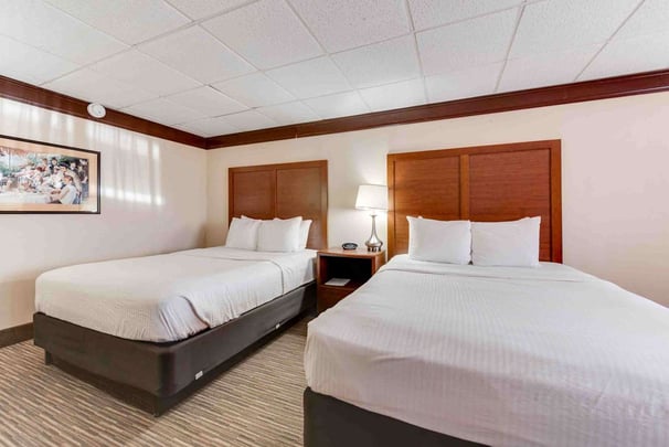 Double Queen Pet Friendly