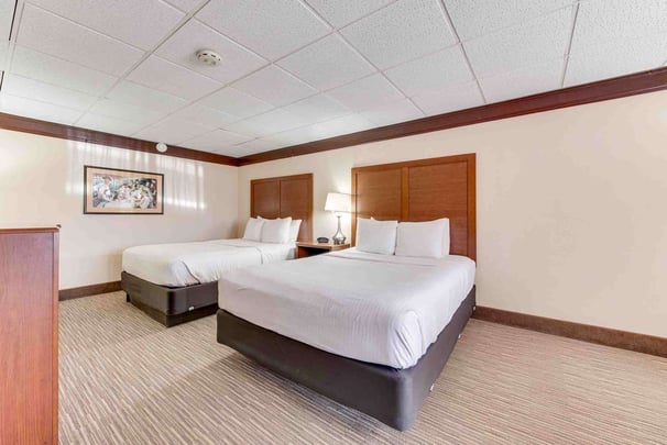 Double Queen Pet Friendly