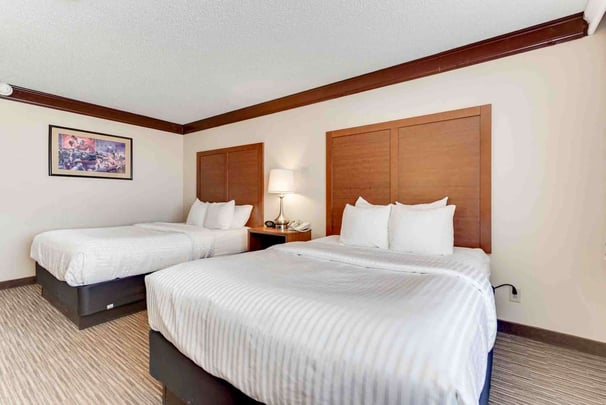 Double Queen Standard